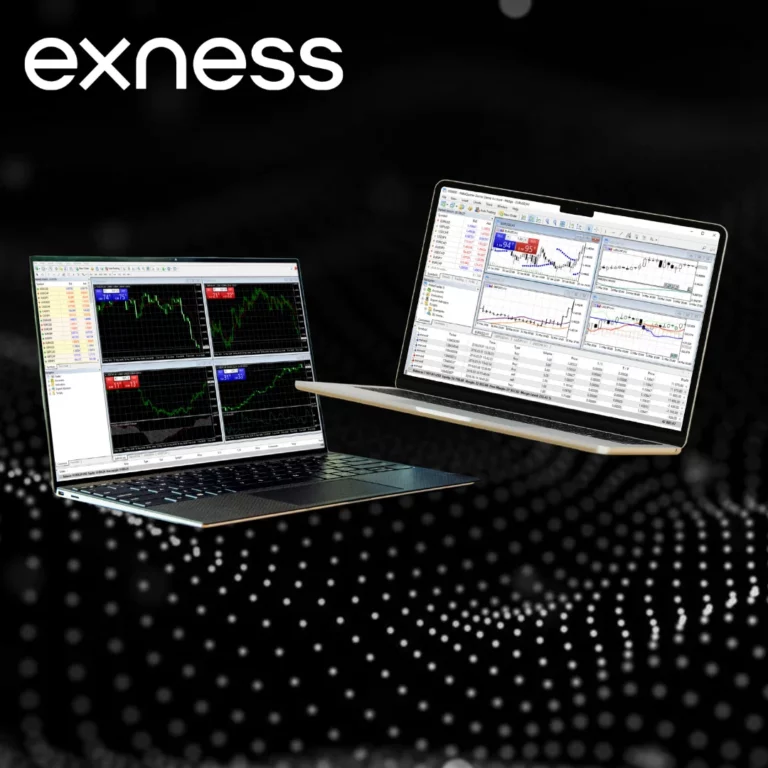 Ventajas del Terminal Web de Exness